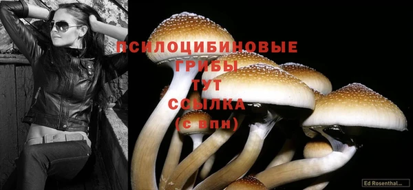 MDMA Premium VHQ Приозерск