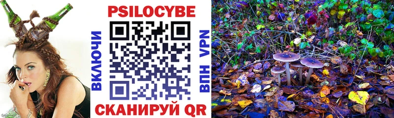 как найти наркотики  Бакал  Псилоцибиновые грибы ЛСД 
