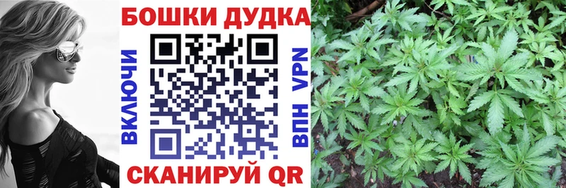 МАРИХУАНА White Widow  купить наркоту  Бакал 